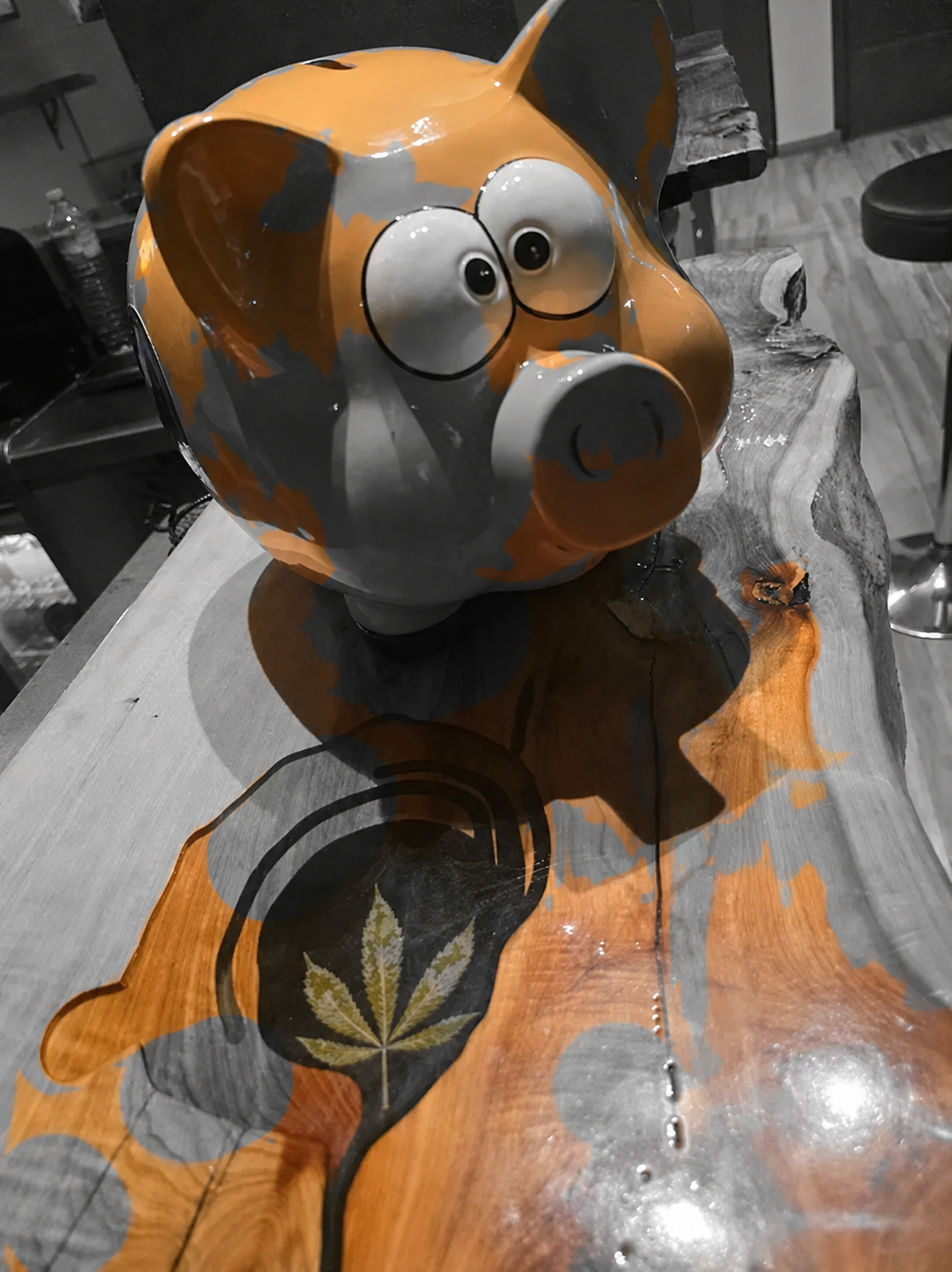 Hucha decorativa de Green Lane